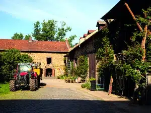 Ein sonnendurchfluteter Hof mit einem roten Traktor, der auf Kopfsteinpflaster steht – ideal für alle, die die Wanderwege von Bad Vilbel erkunden möchten, umgeben von rustikalen Steinhäusern und viel Grün unter strahlend blauem Himmel.