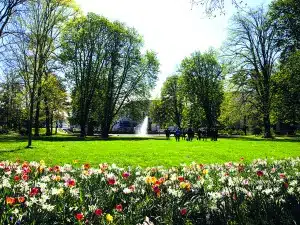 Ein heller, sonniger Park mit grünem Rasen, hohen, blättrigen Bäumen und bunten Blumen – perfekt für „Wandern Rhein-Main“. In der Ferne zieht ein Springbrunnen eine kleine Gruppe von Menschen an, die diesen idealen Tag im Freien genießen.