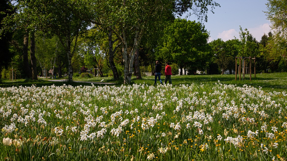Wanderbarer Frühling in Bad Vilbel