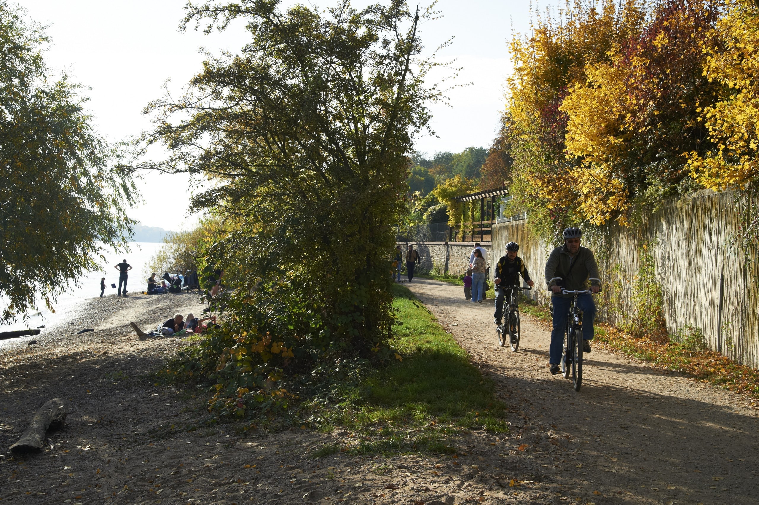Zwei Menschen fahren mit dem Fahrrad auf einem Feldweg am Flussufer entlang, umgeben von Bäumen in herbstlichen Farben – ideal für alle, die das Wandern in der Nähe von Frankfurt lieben. Im Hintergrund entspannen sich Menschen am Ufer und genießen den sonnigen Tag.