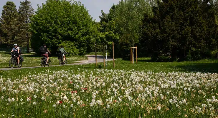 Der Radweg Rund um Bad Vilbel