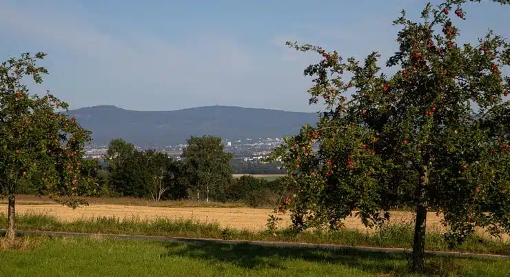 Von Bad Vilbel entlang der Regionalpark Rundroute (Tagestour Westseite)