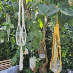 编织绳植物和蜡烛架悬挂在花园中一棵枝叶茂盛的树上,阳光透过树叶洒下。前景中可以看到靠垫和一张木制长凳,营造出轻松的户外氛围。