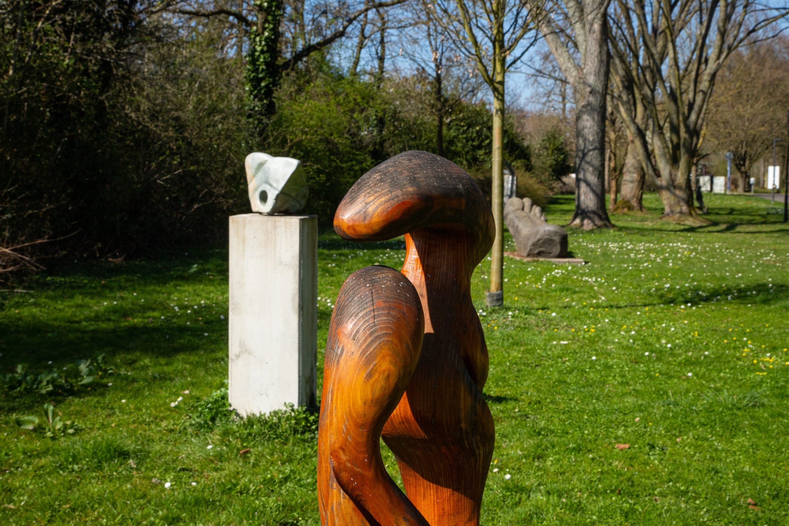 Floodplain Art Massenheim-1 An abstract wooden sculpture stands on a meadow in a park, next to it a white stone sculpture on a plinth, and trees can be seen in the background on a sunny day.