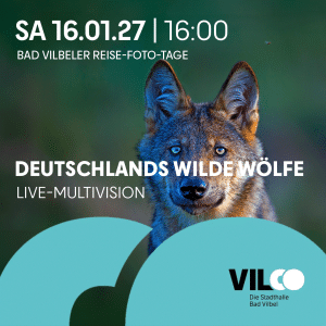 Ein Wolf blickt in die Kamera, daneben stehen die Veranstaltungsdetails: „Deutschlands Wilde Wölfe“ am 16. Januar 2027, 16:00 Uhr, Bad Vilbeler Reise-Foto-Tage, VILCO Stadthalle Bad Vilbel. Das Bild ist mit kreisförmigen blauen Grafiken überlagert.